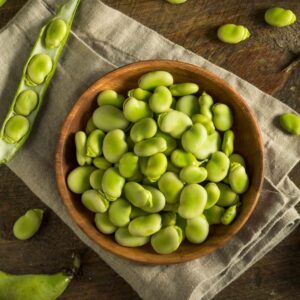 Foul verte 850g Chtoura