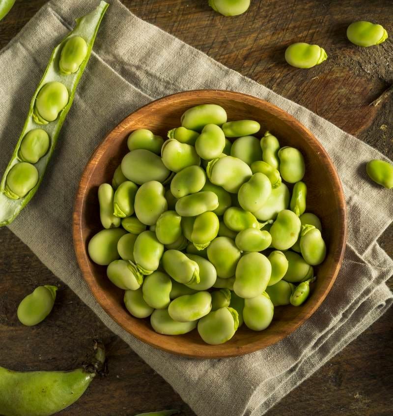 Foul verte 850g Chtoura